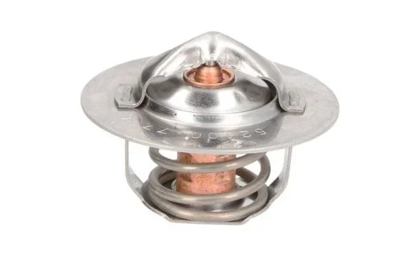 Termostat, chladivo THERMOTEC D2DE002TT