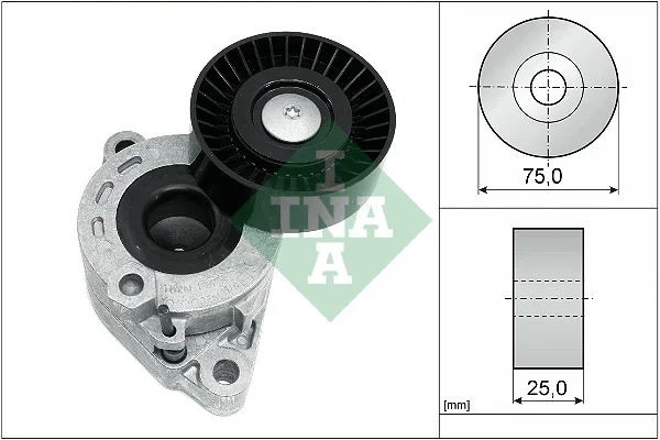Napínací rameno, žebrovaný klínový řemen Schaeffler INA 534072110
