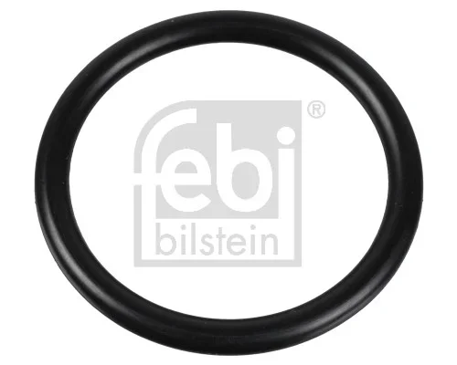 Těsnění, termostat FEBI BILSTEIN 174322