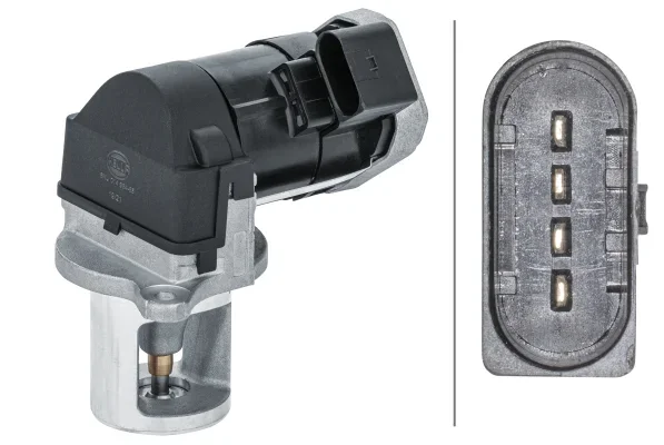 AGR-Ventil HELLA 6NU014864-651