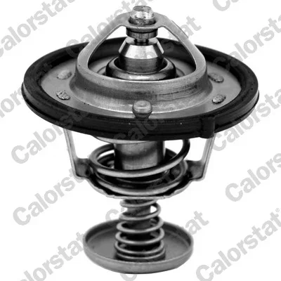 Termostat, chladivo CALORSTAT by Vernet TH6870.82J