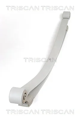Paket pružin TRISCAN 876523018