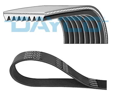 ozubený klínový řemen DAYCO 8PK1582HD